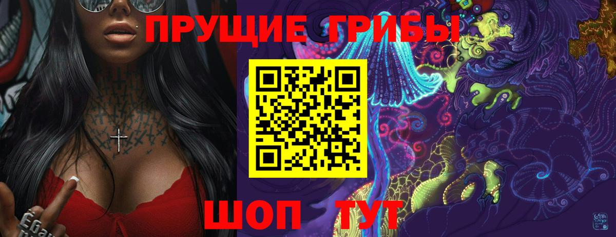 Каменка  Галлюциногенные грибы GOLDEN TEACHER  Вход с VPN  Псилоцибиновые грибы мицелий 