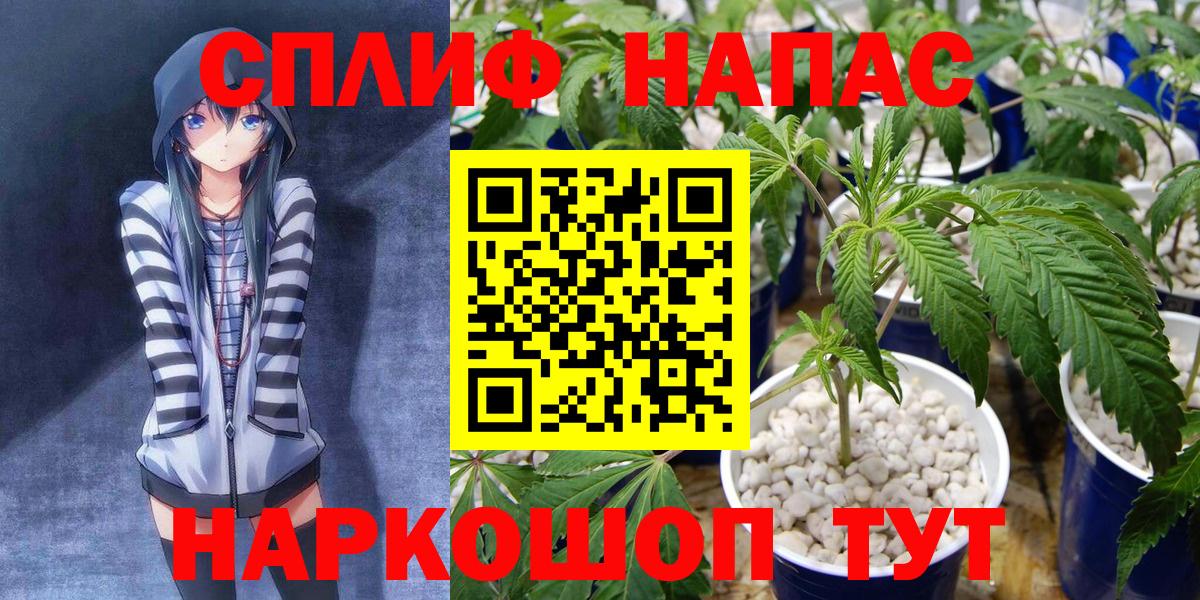 Бошки Шишки AK-47  Марихуана Ganja  Вход с VPN  Бошки Шишки Bruce Banner  Марихуана THC 21%  Каменка 